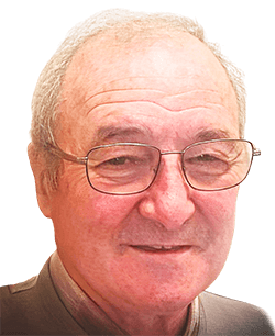 Aranhas – Patameiras