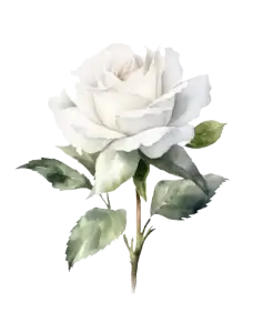 Pena Lobo