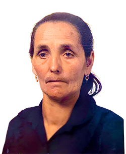 Meimão